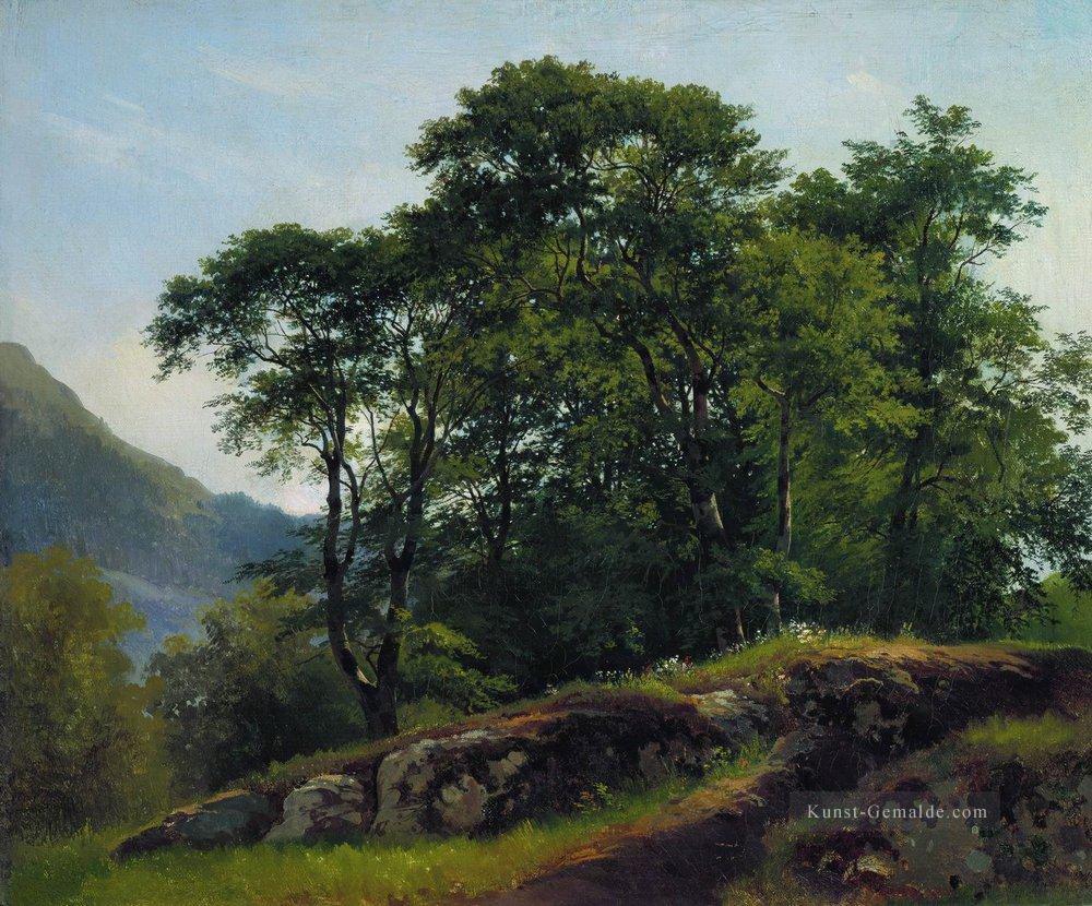 Buchenwald in der Schweiz 1863 klassische Landschaft Ivan Ivanovich Bäume Ölgemälde